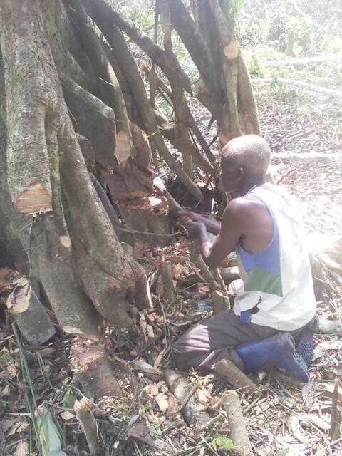 Travailleur forestier